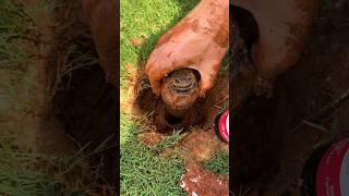 Replace Sprinkler Head in 5 Mins  Easy DIY Fix [upl. by Sima]