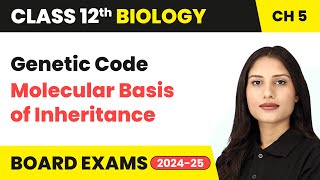 Genetic Code  Molecular Basis of Inheritance  Class 12 Biology Chapter 5  CBSE 202425 [upl. by Ahsenak]