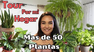 TOUR por Mi Casita 🏡con mas de 50 PLANTAS de Interior [upl. by Lilahk]