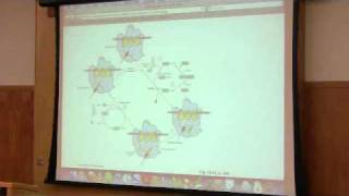 Protein Synthesis Translation by Kevin Ahern Part 4 of 7 [upl. by Yoko]