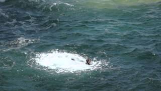 Tombstoning at Thornwick Bay nr Flamborough  Massive Kahunas [upl. by Essirahs]