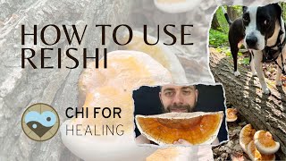 How To Use Reishi Mushrooms After Harvesting [upl. by Tepper]