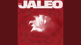 Jaleo [upl. by Eniluj]