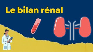 Interpréter un bilan rénal créatinine et urée [upl. by Claudio]