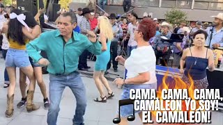 Cama cama cama CAMALEON Yo Soy El CAMALEON 🎵🕺💃👍 [upl. by Swan]