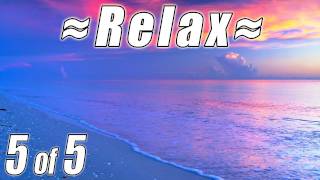 Relaxing FLORIDA KEYS BEACHES 5  Ocean Sounds Key West Florida Keys Naples Beach for studying [upl. by Eanrahs]