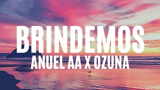 Anuel AA x Ozuna  Brindemos LetraLyrics [upl. by Lombard]