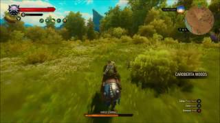 The Witcher 3 Blood and Wine  Igni Build See description [upl. by Gaskin158]