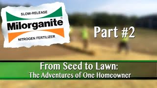 How to Start a Lawn From Seed Part 2 [upl. by Nirred]