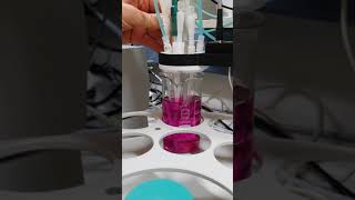 Potassium permanganate reduced by potassium nitrite [upl. by Yerfej]