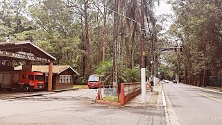 Treino Horto Florestal  Santana São Paulo [upl. by Donaghue830]