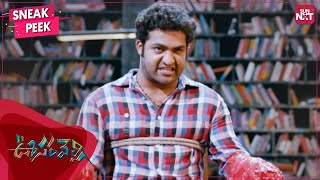 Young Tiger NTRs Mass Scene  Oosaravelli  NTR  Tamannaah  Prakash Raj  Sun NXT Telugu [upl. by Eudoxia]