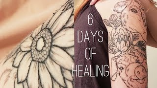 TATTOO HEALING STAGES [upl. by Ednutey]