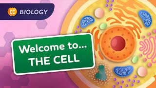 A Tour of the Cell Crash Course Biology 23 [upl. by Pliner]