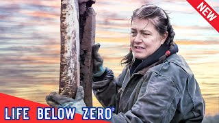 🅷🅾🆃 Life Below Zero 2024 🔥 Domino Effect 🔥 🅱🅴🆂🆃 Hunting Documentaries [upl. by Roderic639]