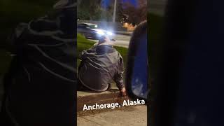 Anchorage Alaska Night Life Pt1 Alaska Anchorage nightlife interesting travel [upl. by Adnolat644]