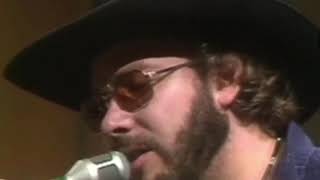 Hank Williams Jr  How’s My Ex Treating You  Chicago Illinois  1977 Soundstage [upl. by Guillemette139]