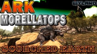 Ark Survival Scorched Earth  Morellatops Overview  How to Fill Up The Hump with Water [upl. by Sinned]