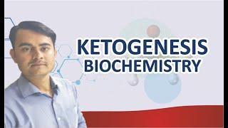 KETOGENESIS BIOCHEMISTRY SIMPLIFIED [upl. by Dnomso778]