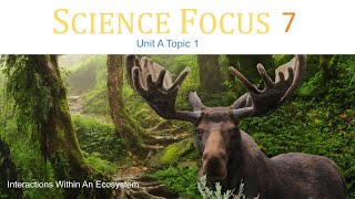 Science Focus 7 Unit A Topic 1 Interactions Within An Ecosystem [upl. by Rezeile895]