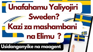 Sweden Mambo Yamebadilika [upl. by Anny]