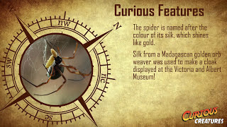 Golden Orb Weaver Spider facts  London Zoo [upl. by Aseeram]