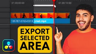 How to Export Only a PART of Timeline in DaVinci Resolve [upl. by Criswell]