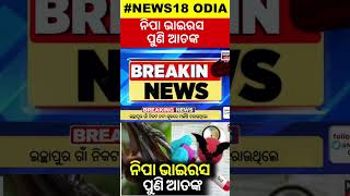 Nipah virus in Kerala  ପୁଣି ନିପା ଭାଇରସ ଆତଙ୍କ  Important to be Very Cautious  Odia News [upl. by Camala]