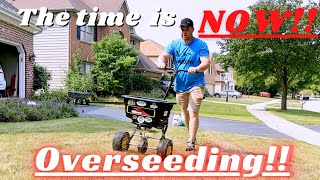 Watch this BEFORE overseeding your lawn [upl. by Emmalynn568]