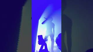 Thaiboy Digital  Mr CEO UNRELEASED LIVE  Amsterdam [upl. by Yvonne]