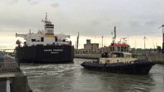 Berendrecht Lock Berendrechtsluis Port of Antwerp ship in lock [upl. by Ahsiekel]