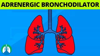 What is an Adrenergic Bronchodilator 💊  Medical Definition [upl. by Thrasher]