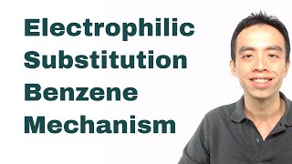 Electrophilic Substitution Benzene Mechanism  Organic Chem [upl. by Jess665]