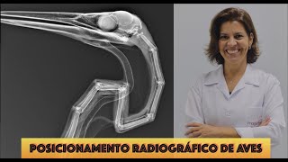 Posicionamento Radiográfico de Aves [upl. by Chev700]