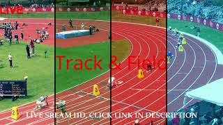 LIVEOfficial 2023 Dromia International Sprint and Relays Meeting LiveliveStream [upl. by Elvie]