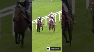 ENABLE Wins King George VI amp Queen Elizabeth S horselifevd horseracing horserace [upl. by Carpet]