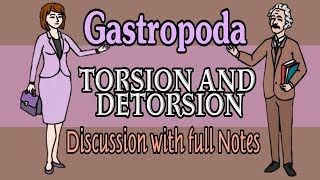 Gastropoda Torsion amp Detorsion Full Notes With Discussion [upl. by Raye]