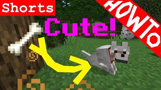 Minecraft How to Find and Tame a Pet Dog  Tutorial [upl. by Clementia]