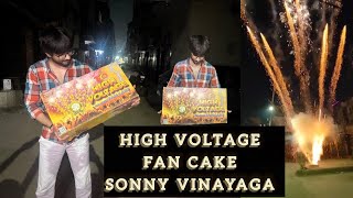 HIGH VOLTAGE SONY FIREWORKS FAN CAKE😍😍Testing Crackers Stash 2024🎇 patakhe crackers nagpal amp sons😍 [upl. by Enamrahs]