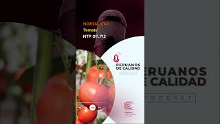 Podcast Peruanos de Calidad  Tomate [upl. by Siraval]