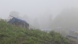 Simple Nepali Rural Village in Mountain  Life with Daily Cold Rain  Relaxing Nature  IamSuman [upl. by Engelhart]