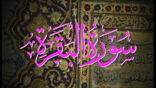 2  Surah Al Baqarah  Sheikh Ahmad Sulaiman [upl. by Aelem]