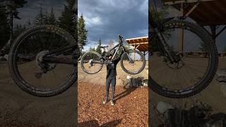 Ultimate MTB Suspension Test [upl. by Camilia]