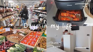 Vlog 🧑‍🎨 diamo il bianco  spesa al mercato e giro da Pepco [upl. by Esilram300]