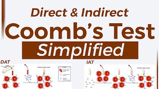 Coombs test  Made Simple to understand that you never forget again [upl. by Rik]