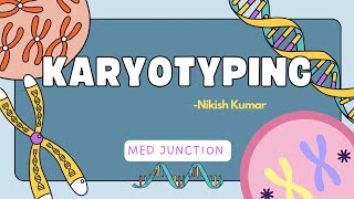 KARYOTYPING GENETICS1113 [upl. by Amorette]