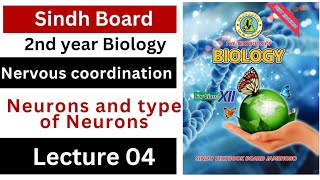 neurons and types of neurons  nervous coordination class 12 biology Sindh board New book [upl. by Georgette185]