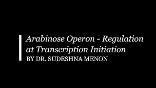 Arabinose Operon Regulation at Transcription Initiation [upl. by Robinson]