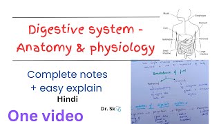 Complete Digestive System  Anatomy amp Physiology notes in one video  hindi  easy explanation [upl. by Sami]