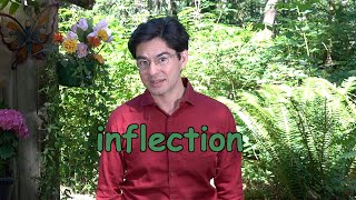 Inflection In English Language and Grammar  A Quick and Cozy Introduction [upl. by Kwon373]